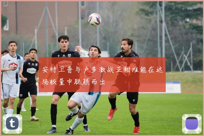安特卫普与卢多激战正酣谁能在这场较量中脱颖而出