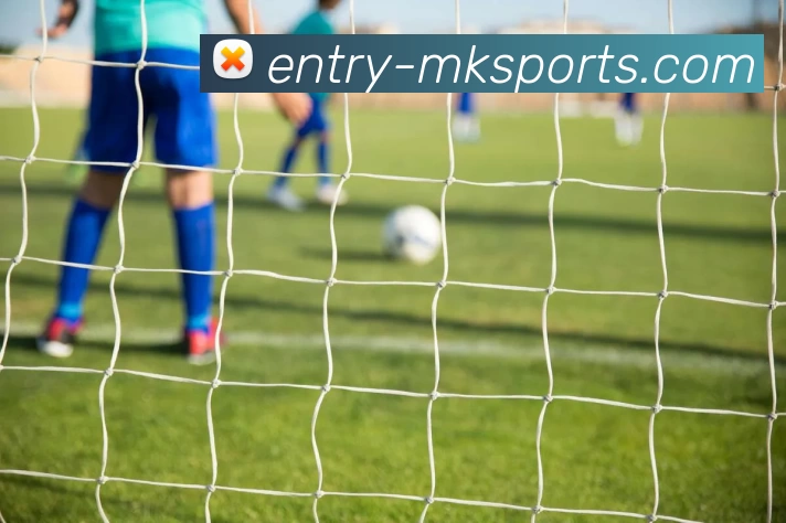 MK体育APP 体育赛事宣传图